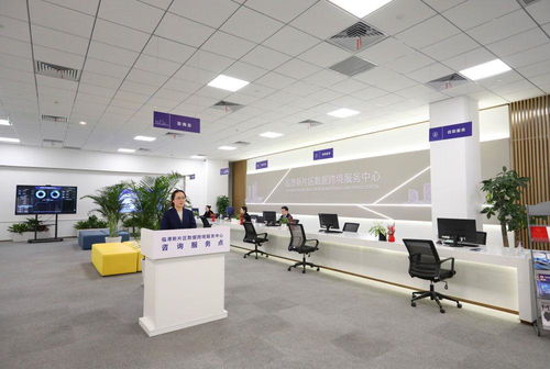 鏡觀回響 從一個(gè)區(qū)，看長(zhǎng)三角更高水平開(kāi)放下的貿(mào)易咨詢(xún)服務(wù)